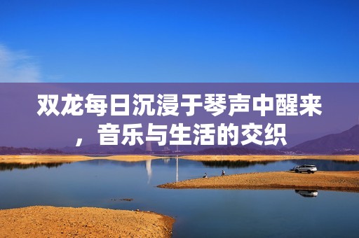 双龙每日沉浸于琴声中醒来，音乐与生活的交织