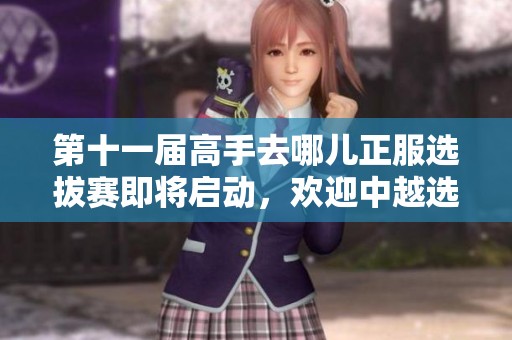 第十一届高手去哪儿正服选拔赛即将启动，欢迎中越选手参与