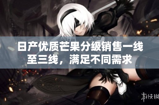 日产优质芒果分级销售一线至三线，满足不同需求