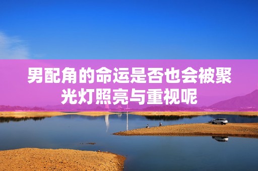 男配角的命运是否也会被聚光灯照亮与重视呢