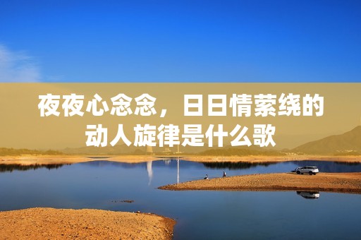 夜夜心念念，日日情萦绕的动人旋律是什么歌