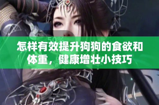 怎样有效提升狗狗的食欲和体重，健康增壮小技巧