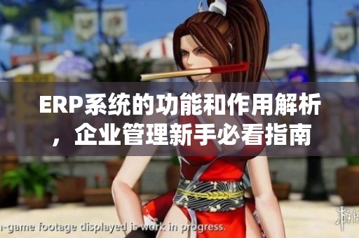 ERP系统的功能和作用解析，企业管理新手必看指南