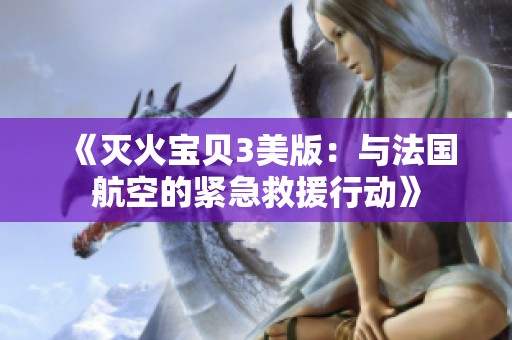 《灭火宝贝3美版：与法国航空的紧急救援行动》