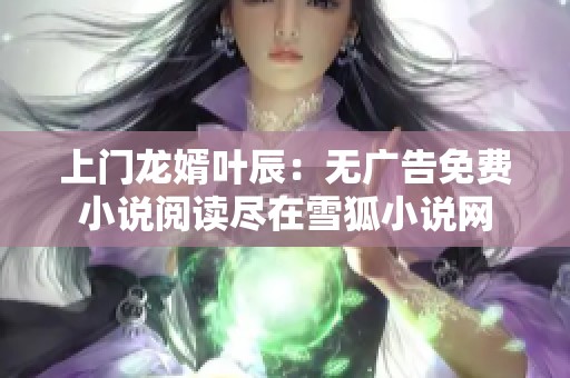 上门龙婿叶辰：无广告免费小说阅读尽在雪狐小说网