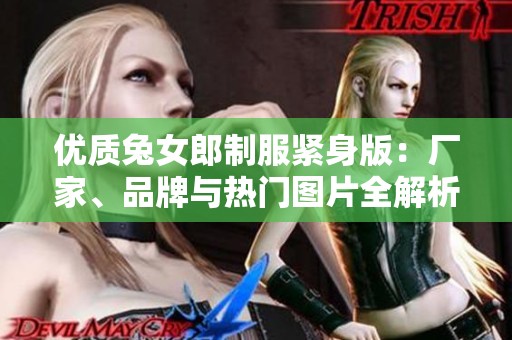 优质兔女郎制服紧身版：厂家、品牌与热门图片全解析