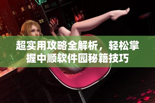 超实用攻略全解析，轻松掌握中顺软件园秘籍技巧