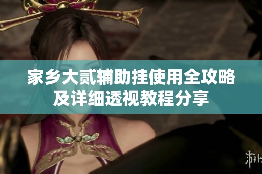 家乡大贰辅助挂使用全攻略及详细透视教程分享