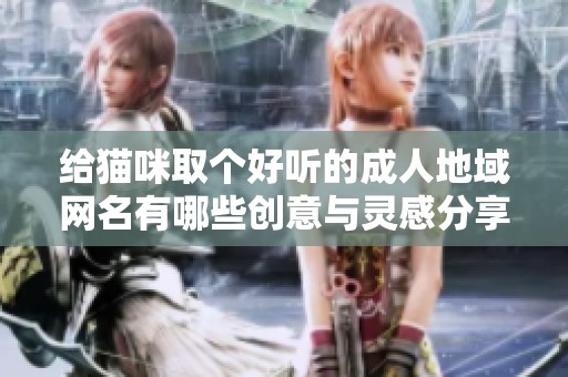 给猫咪取个好听的成人地域网名有哪些创意与灵感分享