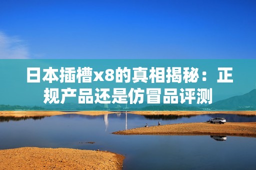 日本插槽x8的真相揭秘：正规产品还是仿冒品评测