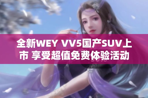 全新WEY VV5国产SUV上市 享受超值免费体验活动