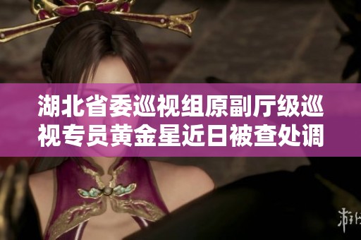 湖北省委巡视组原副厅级巡视专员黄金星近日被查处调查