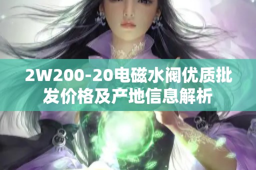 2W200-20电磁水阀优质批发价格及产地信息解析