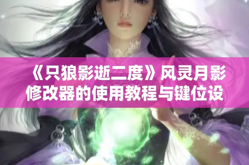《只狼影逝二度》风灵月影修改器的使用教程与键位设置详解