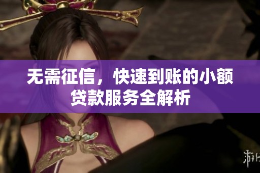 无需征信，快速到账的小额贷款服务全解析