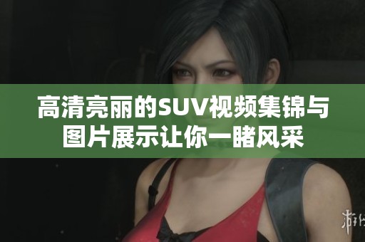 高清亮丽的SUV视频集锦与图片展示让你一睹风采