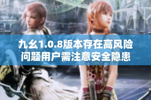 九幺1.0.8版本存在高风险问题用户需注意安全隐患