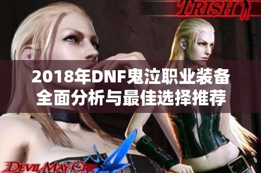 2018年DNF鬼泣职业装备全面分析与最佳选择推荐