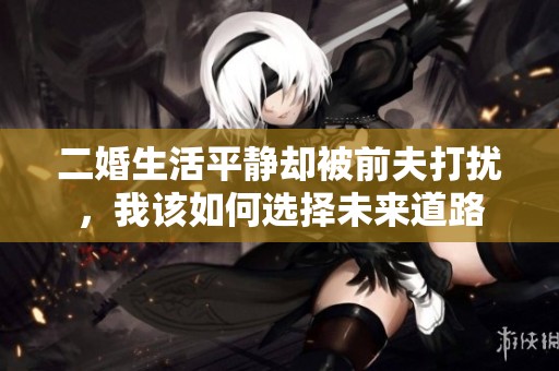 二婚生活平静却被前夫打扰，我该如何选择未来道路