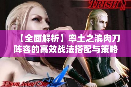 【全面解析】率土之滨肉刀阵容的高效战法搭配与策略