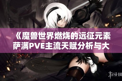 《魔兽世界燃烧的远征元素萨满PVE主流天赋分析与大漩推荐》