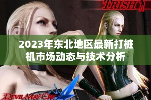 2023年东北地区最新打桩机市场动态与技术分析