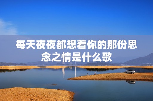 每天夜夜都想着你的那份思念之情是什么歌