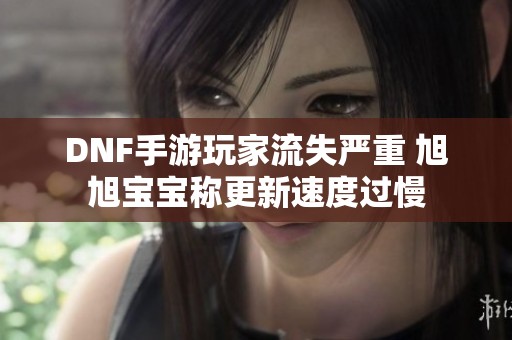 DNF手游玩家流失严重 旭旭宝宝称更新速度过慢