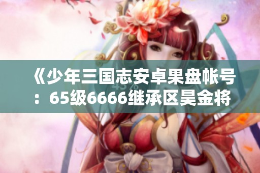 《少年三国志安卓果盘帐号：65级6666继承区昊金将双人攻略秘籍》