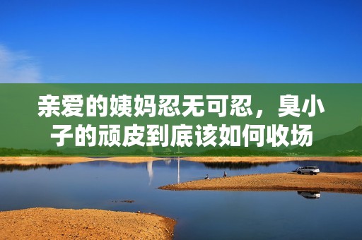 亲爱的姨妈忍无可忍，臭小子的顽皮到底该如何收场