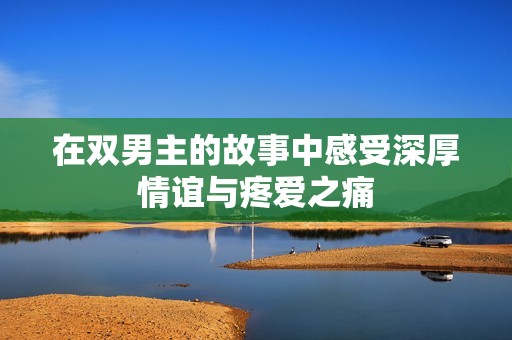 在双男主的故事中感受深厚情谊与疼爱之痛