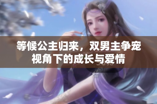 等候公主归来，双男主争宠视角下的成长与爱情