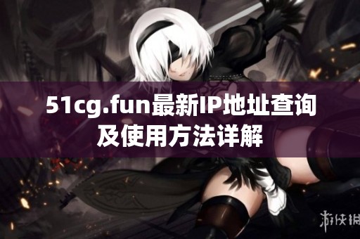 51cg.fun最新IP地址查询及使用方法详解