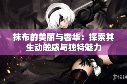 抹布的美丽与奢华：探索其生动触感与独特魅力