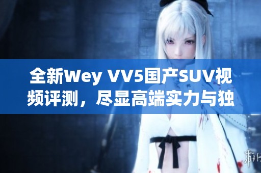 全新Wey VV5国产SUV视频评测，尽显高端实力与独特魅力