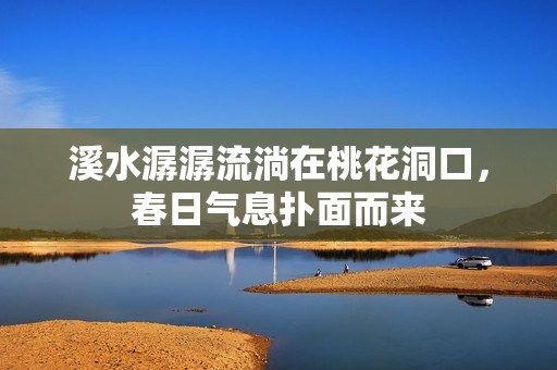 溪水潺潺流淌在桃花洞口，春日气息扑面而来