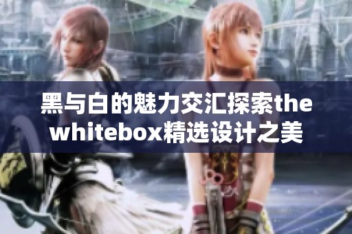 黑与白的魅力交汇探索thewhitebox精选设计之美