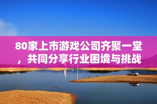 80家上市游戏公司齐聚一堂，共同分享行业困境与挑战