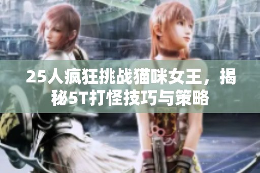 25人疯狂挑战猫咪女王，揭秘5T打怪技巧与策略