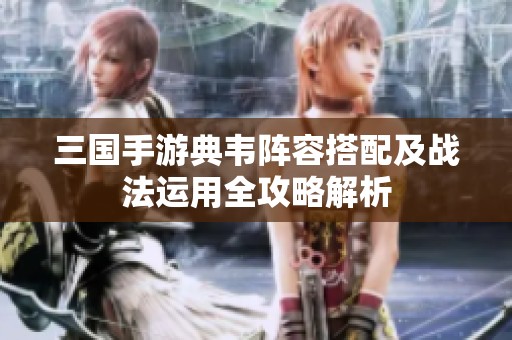 三国手游典韦阵容搭配及战法运用全攻略解析