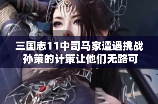 三国志11中司马家遭遇挑战 孙策的计策让他们无路可退
