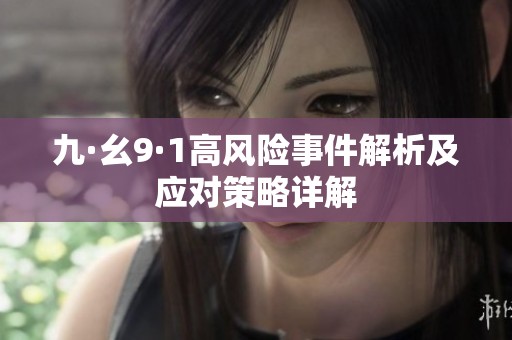 九·幺9·1高风险事件解析及应对策略详解