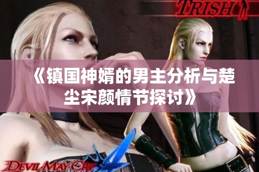 《镇国神婿的男主分析与楚尘宋颜情节探讨》