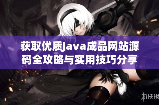 获取优质Java成品网站源码全攻略与实用技巧分享