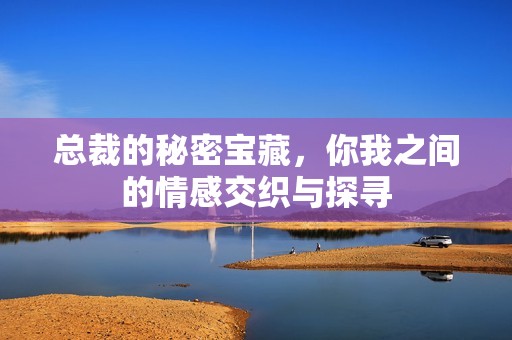总裁的秘密宝藏，你我之间的情感交织与探寻