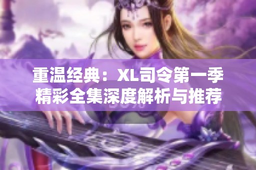 重温经典：XL司令第一季精彩全集深度解析与推荐