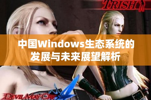中国Windows生态系统的发展与未来展望解析