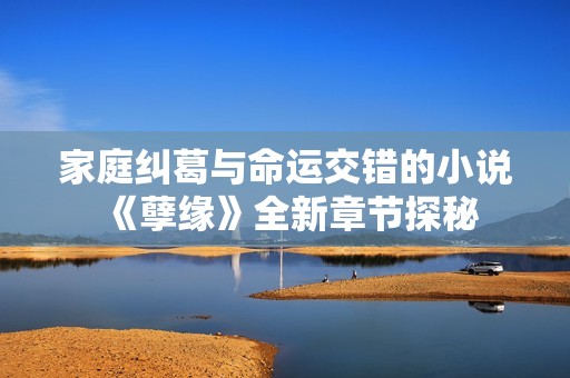 家庭纠葛与命运交错的小说《孽缘》全新章节探秘