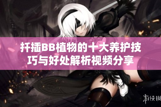扦插BB植物的十大养护技巧与好处解析视频分享