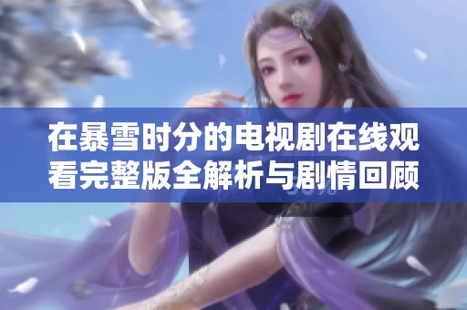 在暴雪时分的电视剧在线观看完整版全解析与剧情回顾